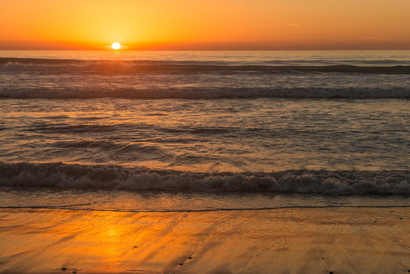 Beach at Torrey Pines Reserve