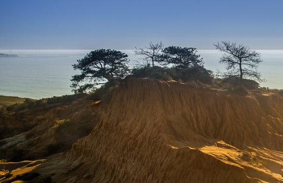 Broken Hill, Torrey Pines Preserve